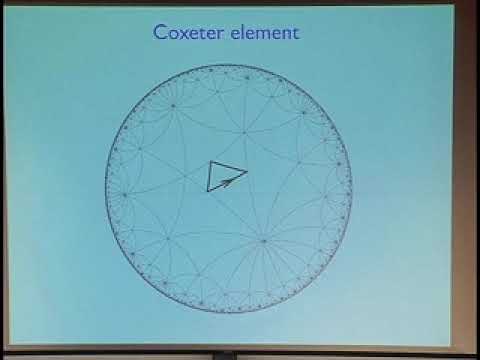 Curtis McMullen, Algebraic dynamics on surfaces