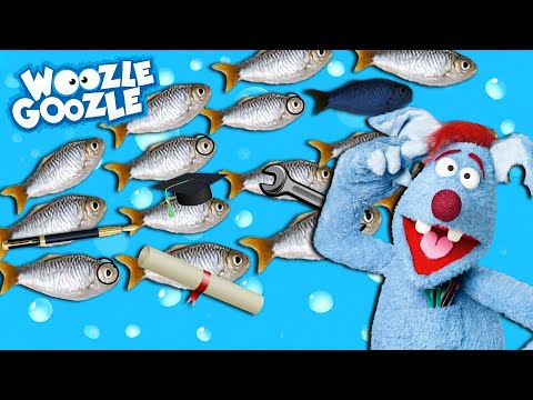 Was bedeutet 'Schwarmintelligenz'? l WOOZLE GOOZLE