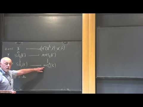 Hodge theory for non-Archimedean analytic spaces - Vladimir Berkovich
