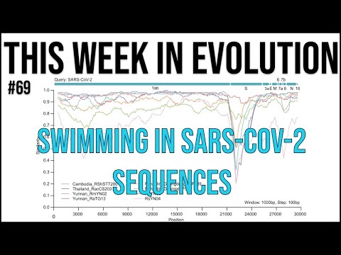 TWiEVO 69 Livestream 6/30/21