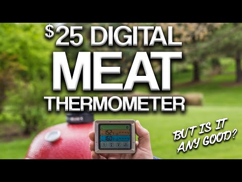 How good is a $25 Grilling Thermometer from Amazon? | SmartRo ST54 2 Channel Thermometer Review