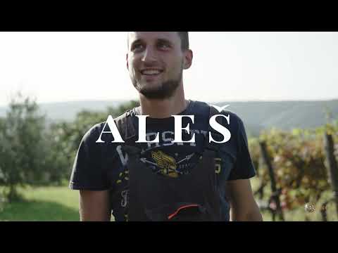 Discover Rodica Organic Winery | A Story of Passion, Nature & Family