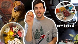 What my Pregnant Golden Retriever eats in a Day | Episode 5
