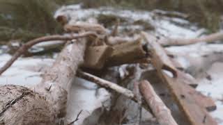 The Light The Heat "Steady" Lyric Video