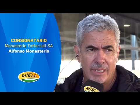 Alfonso Monasterio | Monasterio Tattersall SA | 27/01/26 | MV