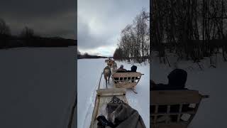 Northern Lights & Arctic Adventures | Ambassador Cruise Line #enjoyyourself #cruise