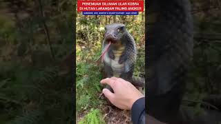 Download lagu DISCOVERY OF A SNAKE GHOST IN THE MIDDLE OF THE FORBIDDEN FOREST #viral #entertainment #parody #h... mp3