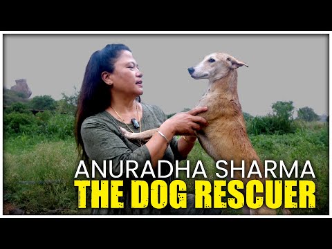 Ankita Sinha Dog Rescuer Teaser Launched Produced Animal Lovers Rescue Stories