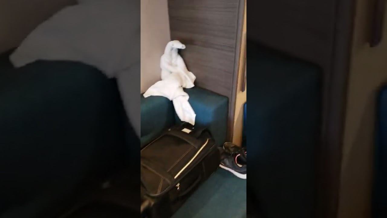 Harmony of the Seas - Cabin 10189 - Video 1