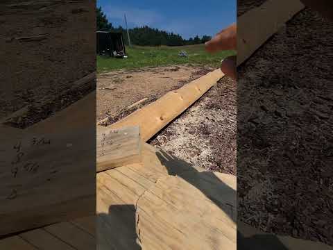 Picking out our next log.