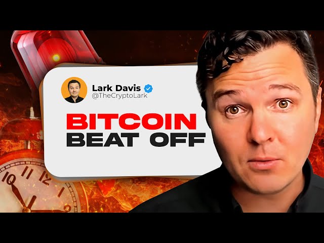 Lark Davis – Warning! Bitcoin & Crypto Just Hit EXTREME PRICE (16.10.2024 Summary)