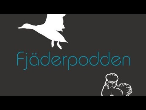 Avsnitt 12: Odlingar och fåglar