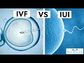 IUI vs IVF: What's the difference?