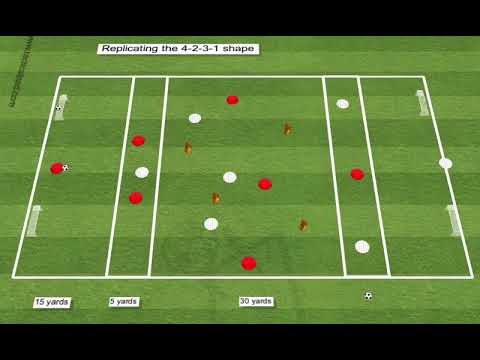 Focusing on team shape. 1-4-2-3-1 Formation