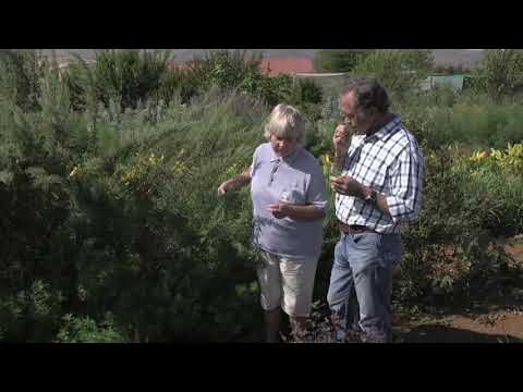 Nisboere 4 | Episode 7 - Mountain Herb Estate