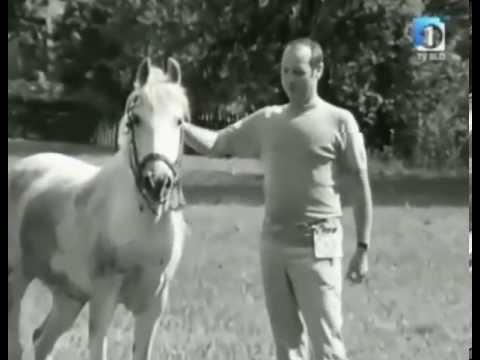 Rafko Irgolic - Moj crni konj