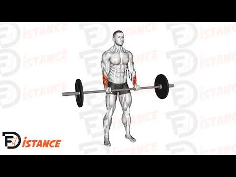 Exercice Flexion des poignets inversé à la barre