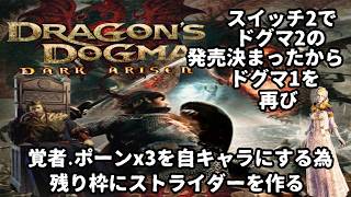 (22) DDDA ドラゴンズドグマダークアリズン