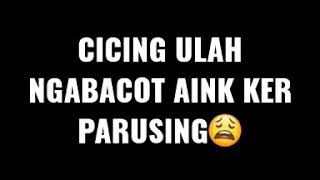 Download lagu Story' wa bahasa Sunda(cicing ulah ngabacot) mp3 Download lagu Story' wa bahasa Sunda(cicing ulah ngabacot) mp3
