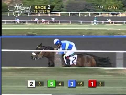 14th Running of the Cat's Cradle Handicap