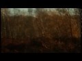 Bonobo - Days To Come (music video)