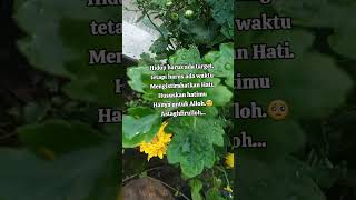 Download lagu Pepeling Abah uci #abuyauci #ngajirutin #shorts #Ayinurhikam mp3