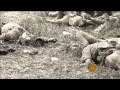 Antietam   150 Years Later   CBS Sunday Morning   9 16 12