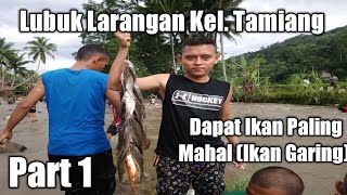 preview picture of video 'Menangkap Ikan di Sungai Batang Gadis Secara Massal | Lubuk Larangan'