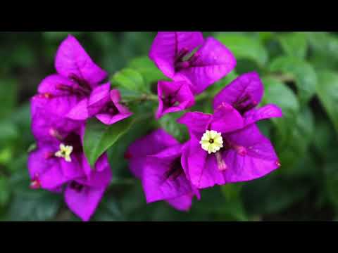 Tato Piatti 100 % Vinyl Dj set recorded in 2000 (archive)