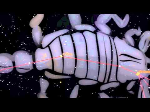 Tosiek Degutis - Metal Scorpion