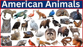 50 Rare American Animals You Never Knew Existed!