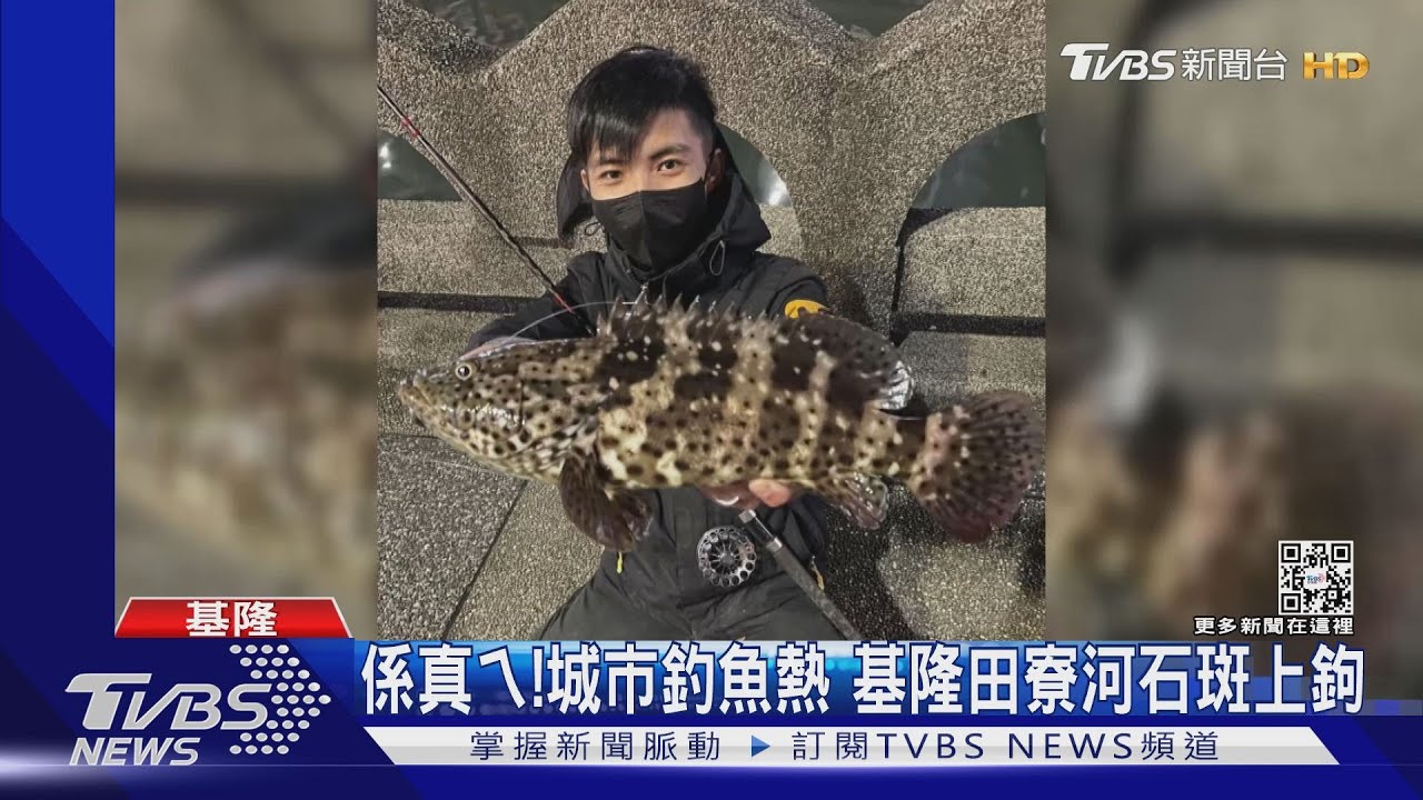 係真ㄟ!城市釣魚熱 基隆田寮河石斑上鉤