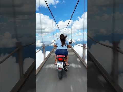 Viagem pela ponte