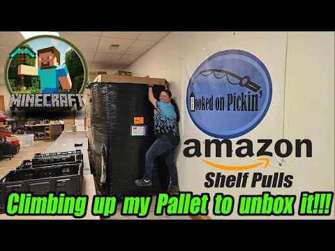 Unboxing a $1,000 Amazon over Stock Pallet From California. Just Climbing up to unbox it!