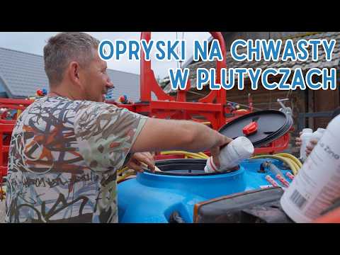 Jak zwalczyć chwasty w kukurydzy Oprysk w Plutyczach Gienek i Andrzej Rolnicy z Podlasia