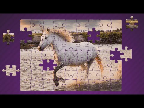 Animal Jigsaw Puzzles Video