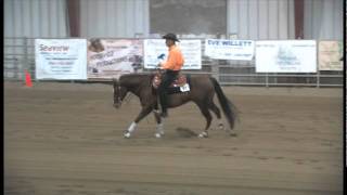 John Slack & Reining In Seattle- WRHA April 2011