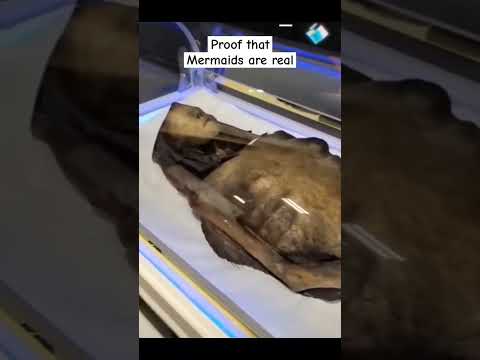 Do you believe that? #mermaid #proof #real #mermaids #scary #creepy #shorts #trending #viral #video
