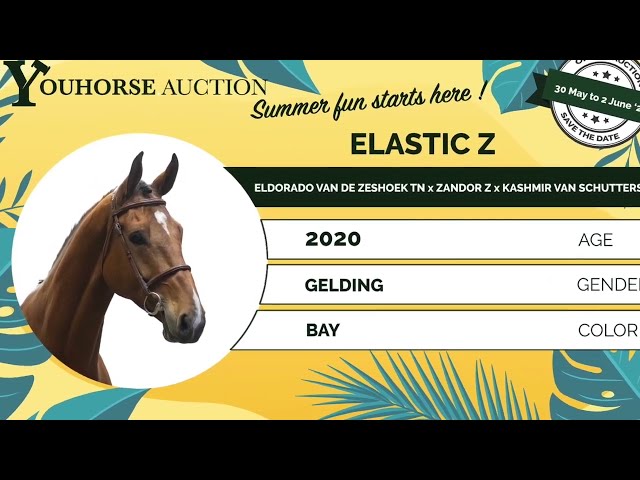 Elastic showvideo