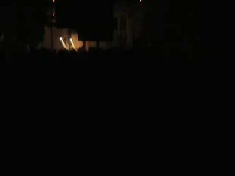 animaltek live - reSOLUTE party