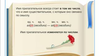 Определите род число и падеж имен прилагательных с длинной удочкой