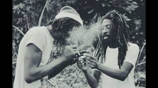 Bunny Wailer • Fighting Against Conviction