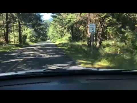 Drive into the camping area from the front gate