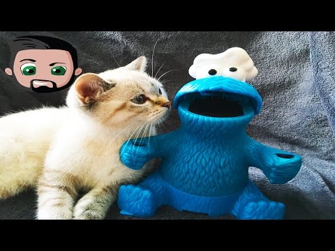 VLOG: Samira lernt Play Doh Krümelmonster kennen! Spiel mit mir Kinderspielzeuge mit Katze & Kaan
