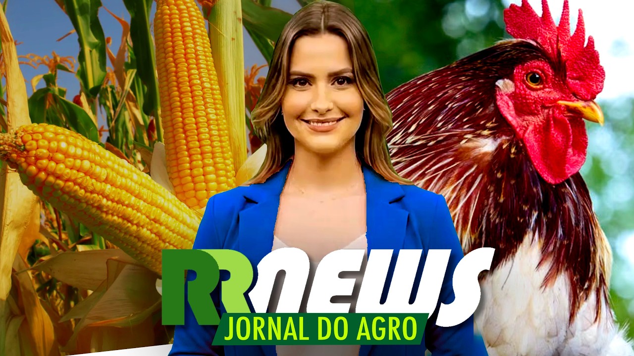 RRNEWS - O Jornal do Agro - 24/10/2026