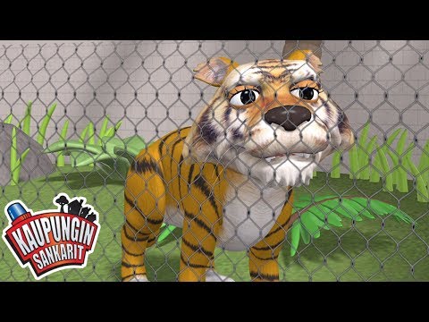 Kaupungin Sankarit | Kata ja Minisirkus | Lasten Piirretyt | Lastenohjelmia Suomeksi