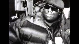 Notorious big-bust a nut-djtnt93 remix