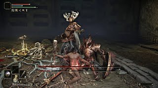 [法環] LV1一無所有雞腿棒 雙熔爐騎士 無傷