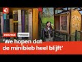 Nieuwe minibieb geopend in de Bothoven: 'Als iemand erop klimt dan gaat hij nat'