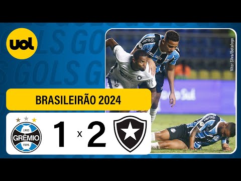 Grêmio 1 X 2 Botafogo _ Campeonato Brasileiro 2024, Veja os Gols!